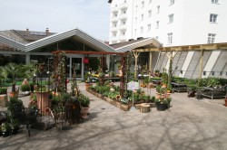 Band Garten GmbH